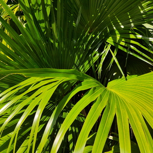 天美传媒在线完整免费
